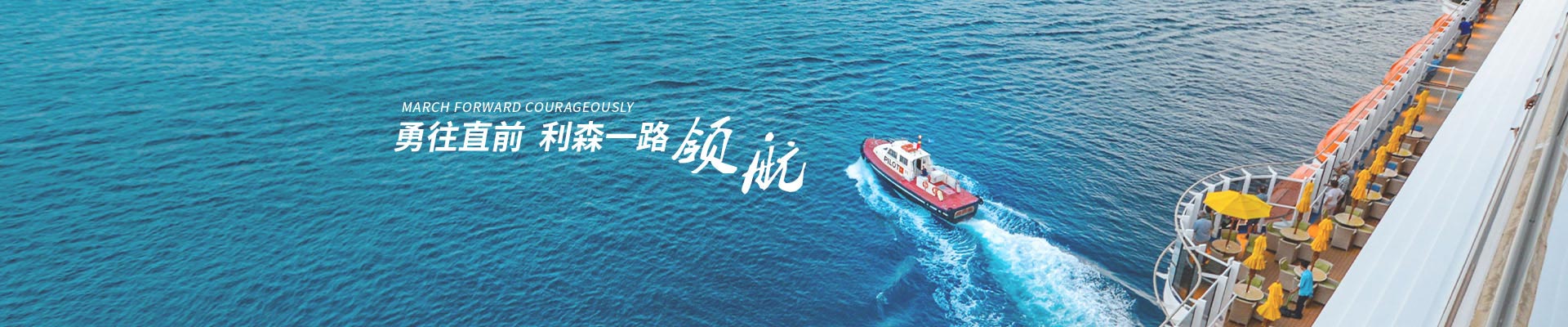 木材深夜网站在线播放