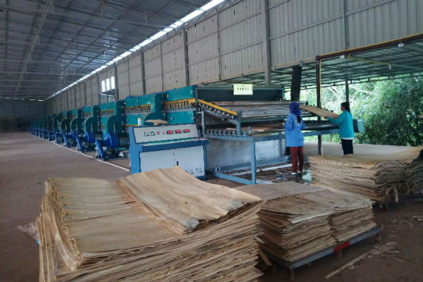 木材深夜网站在线播放工作現場