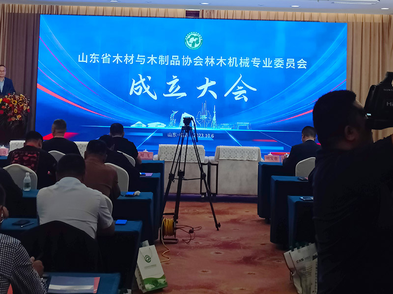 單板深夜网站在线播放